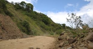 Foto: Cortesía