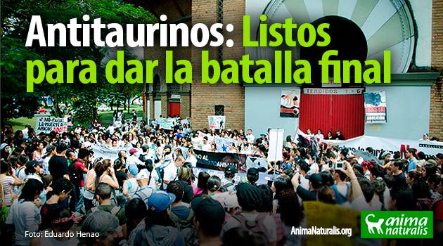 Colombia Sin Toreo, una coalición nacional creada para luchar por el fin de las corridas de toros.