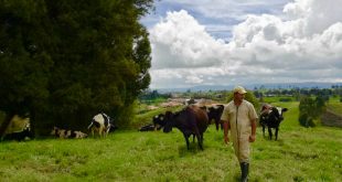 Microempresas de Colombia