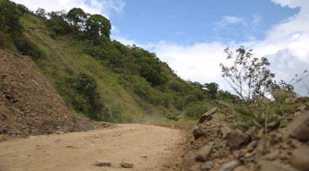 Foto: Cortesía