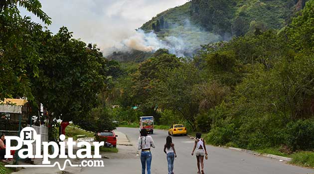 Foto: EL PALPITAR