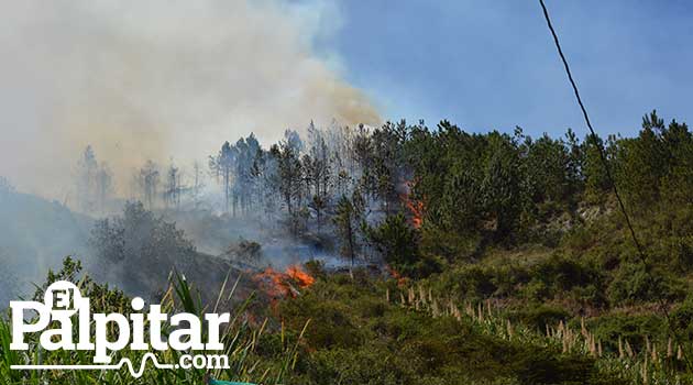 Foto: EL PALPITAR