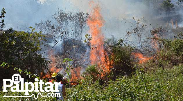 Foto: EL PALPITAR