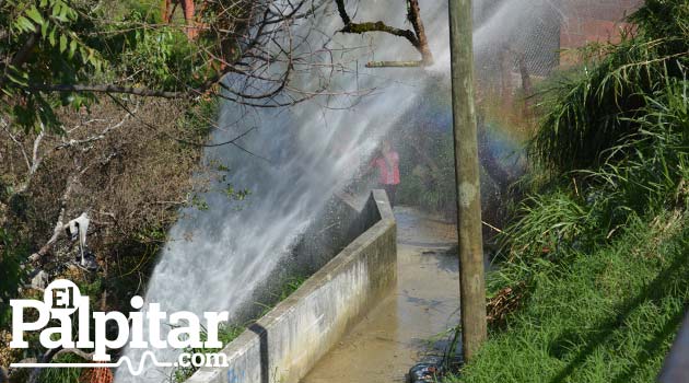 Foto: EL PALPITAR