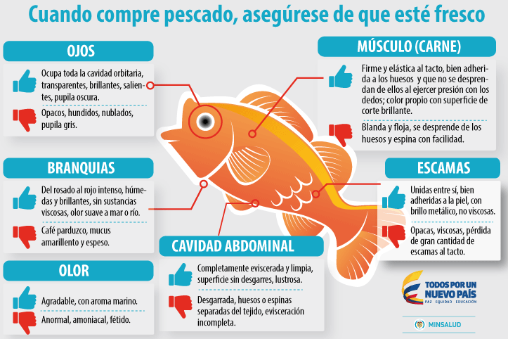 Cuidado_Pescados_El_Palpitar