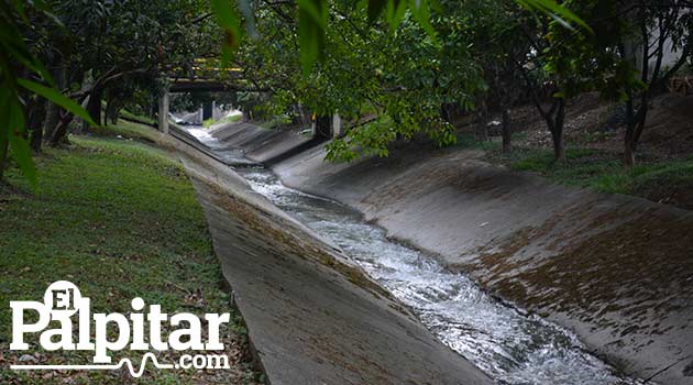 Día_Agua2_El_Palpitar