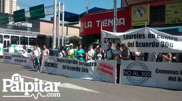 marcha_acuerdo300_elpalpitar3