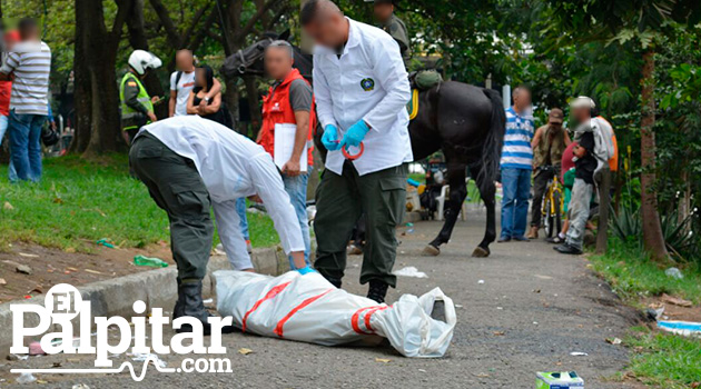 muerto_rio_sena_elpalpitar4