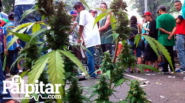 marcha_marihuana7