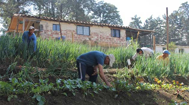 practicas_agricolas_jardin_circunvalar