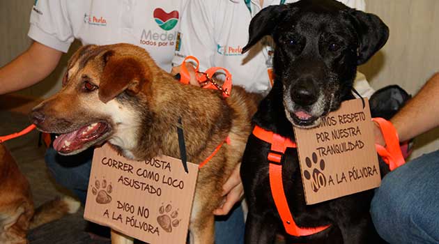 huellaton_perro_campaña3