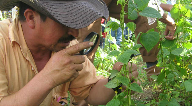 agricola_antioquia