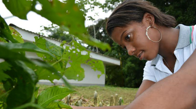 educación_ambiental_esstudiante_plantas