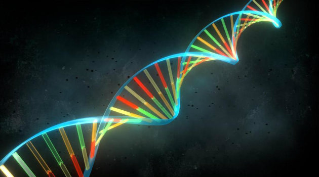 genetica_genoma_ciencia