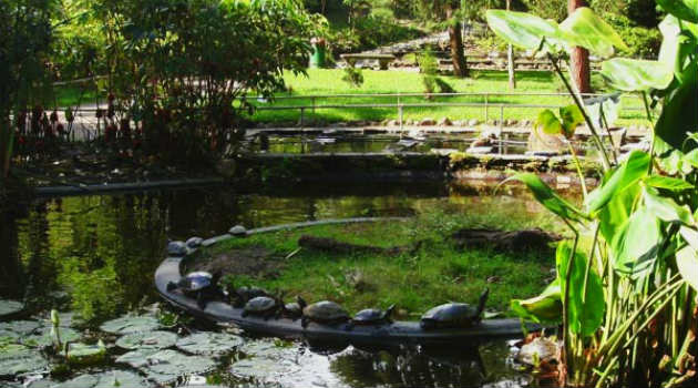 laguna_jardin_botanico