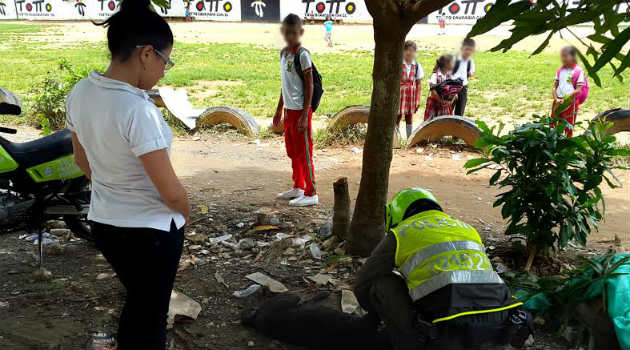 perro_atropellado_caucasia_policia