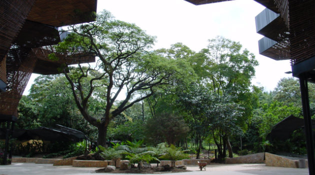 Jardín_Botánico