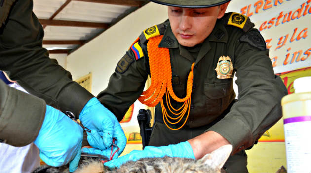 policia_mascotas_esterilizacion