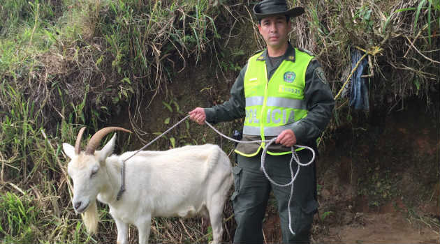 chiva_animal_maltrato_policia2