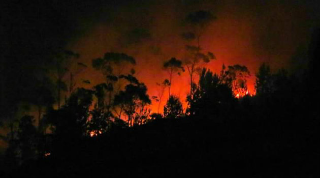 incendio_forestal_noche_guarne