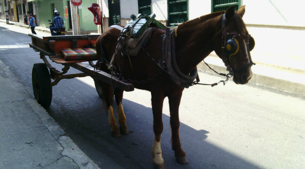 carreta_caballo_barbosa