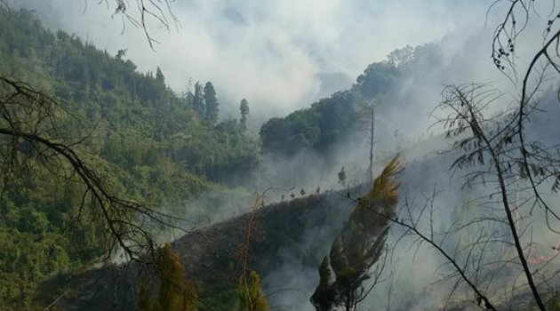 incendio_el_retiro_honda