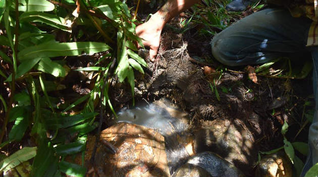 agua_vertiente_jericó3