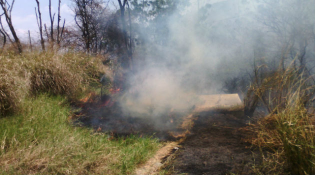 incendio_forestal_robledo 1