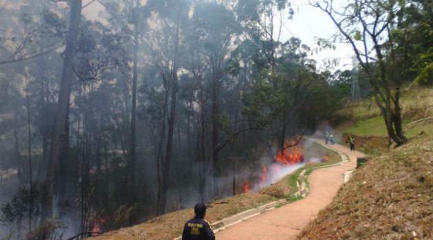 incendio_forestal_robledo 2