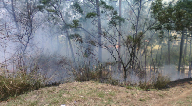 incendio_forestal_robledo 3