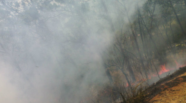 incendio_forestal_robledo