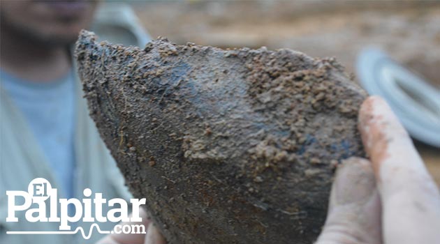 arqueología_hallazgo_prehistoria