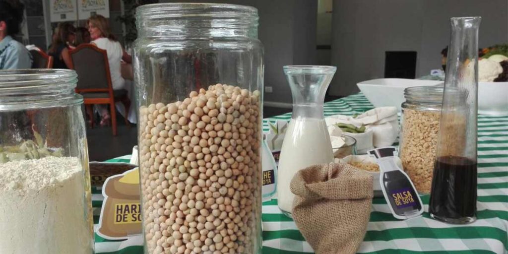 Feria_Soya_Medellín_El_Palpitar