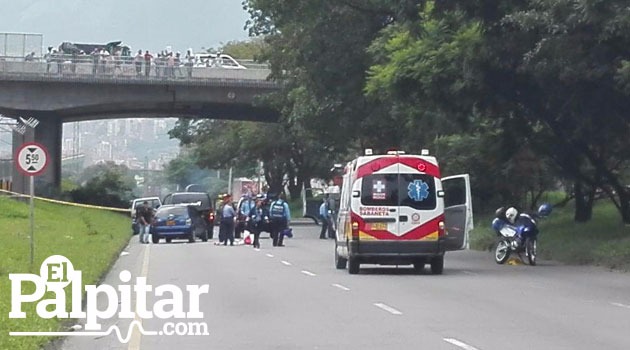 avenida_regional_muerto2