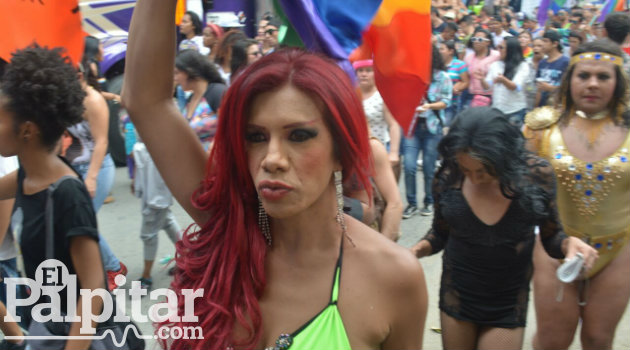 Marcha gay 6