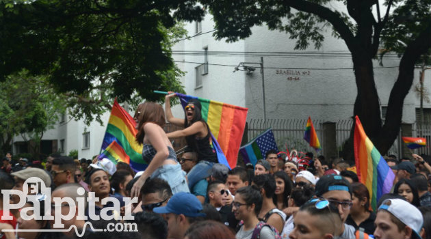 Marcha gay 8