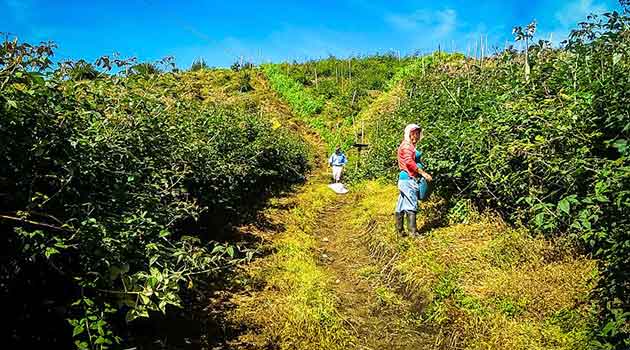 familia_campo_agricola_corantioquia