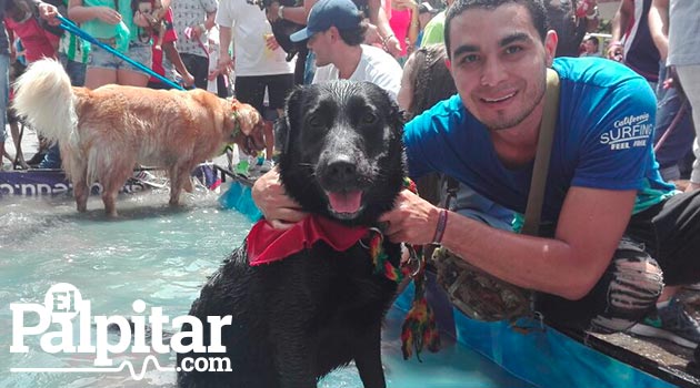 perros_marcha_canina3_chester