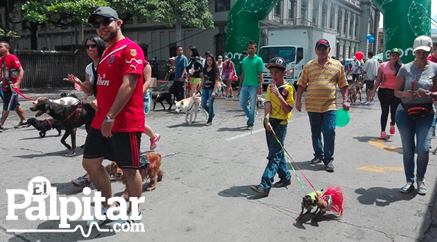 perros_marcha_canina4_caminata