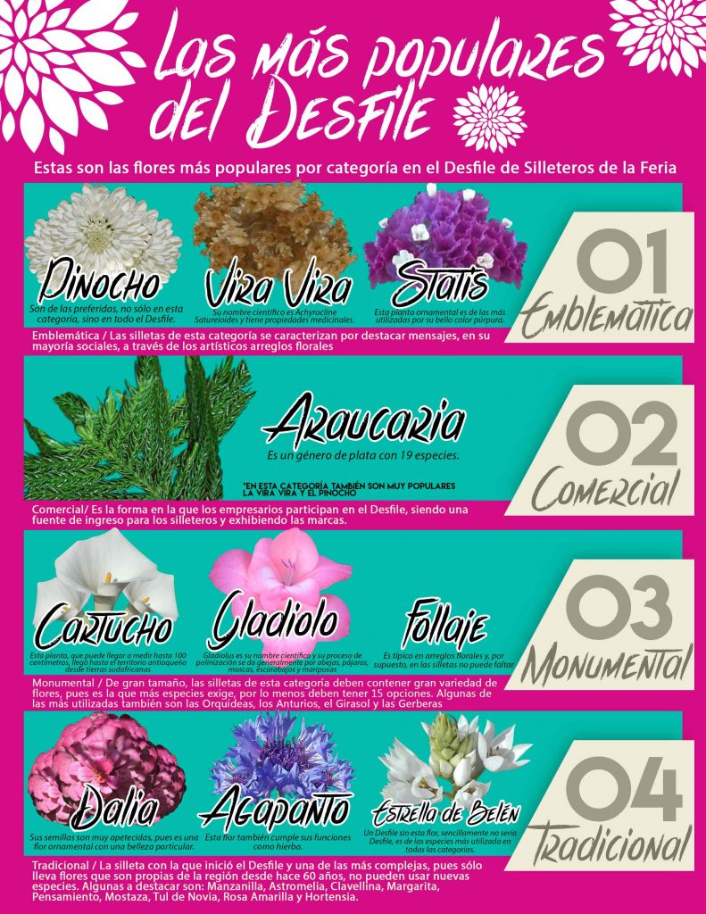 Flores_Populares_Desfile_El_Palpitar