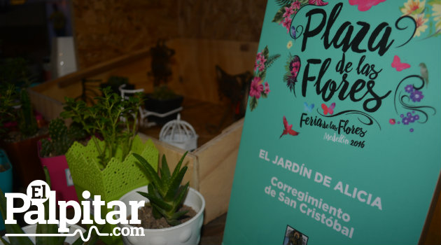 Plaza-Flores-Palpitar (6)