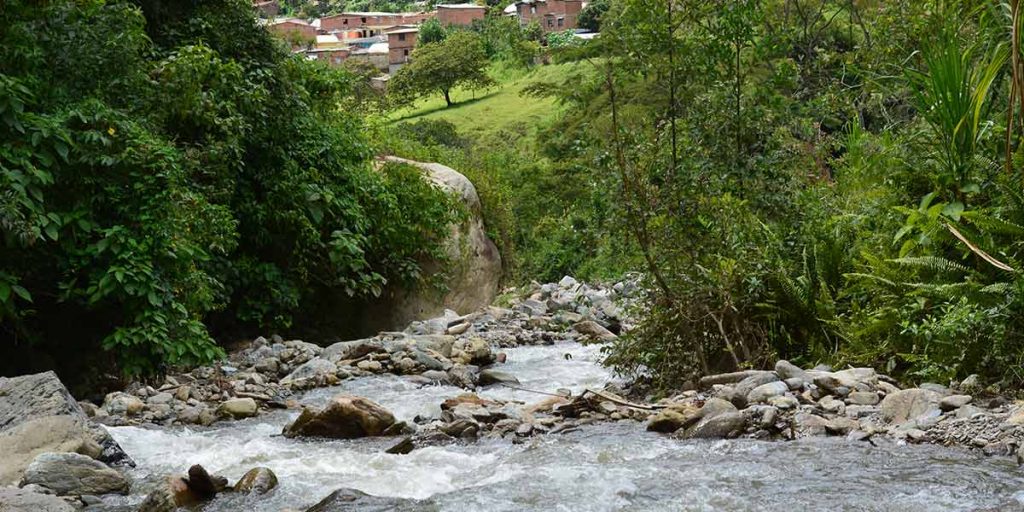 Planes_Ambientales_Liborina_El_Palpitar