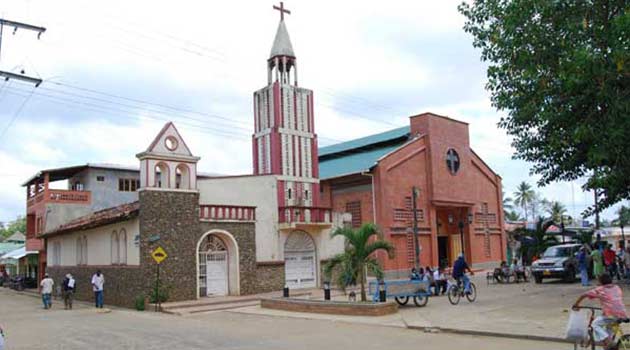 San_Pedro_Urabá_El_Palpitar
