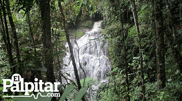 anorí_rio_naturaleza