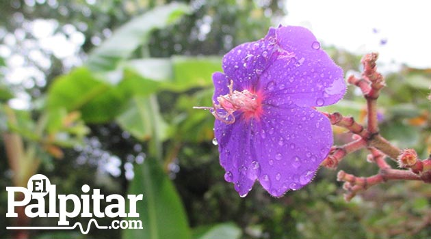 anorí_rio_naturaleza2