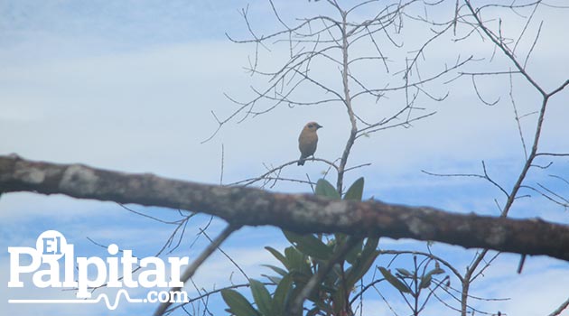 anorí_rio_naturaleza7
