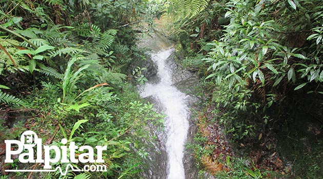 anorí_rio_naturaleza8