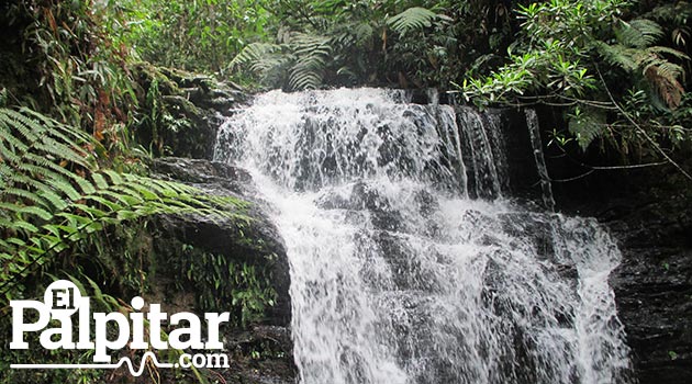anorí_rio_naturaleza9
