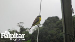 anorí_rio_naturaleza5