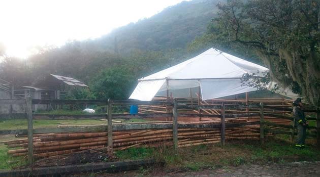 Cocaína2_UniversidaddeAntioquia_El_Palpitar